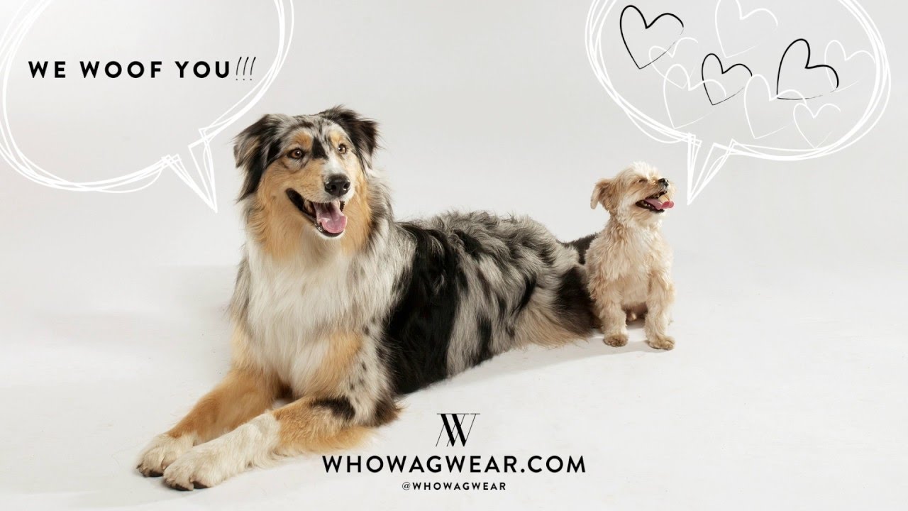 WHOWAGWEAR™ x Modern Dog Magazine Summer 2016