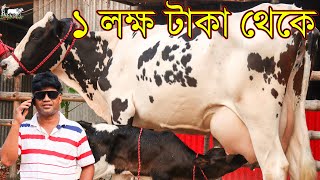 সবার প্রিয় কাউন্সিলর ভাইয়ের মাথানষ্ট দামে গাভী। ১৮৫ হাজার টাকায় ২০ লিটার  ডাবল ডিস্কাউন্টে গাভী।