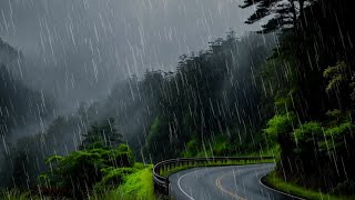 ForestRain Relaxing rain sound on an empty road at night