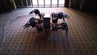 Hexapod Maiden Run