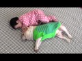 French bulldog, MIRCO #314 妹に一瞬怒っちゃったよ
