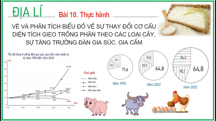 Hướng dẫn thực hành địa lí 10 bài 10 12