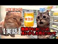 【猫ミーム】とある田舎の夜勤コンビニ店員の話②