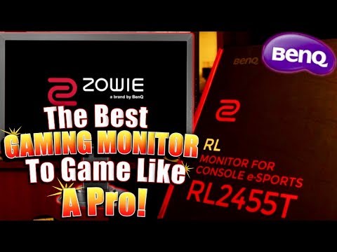 ZOWIE BenQ RL2455T Review and Actual Gameplay! RL2455T Best Settings For A Gaming Advantage