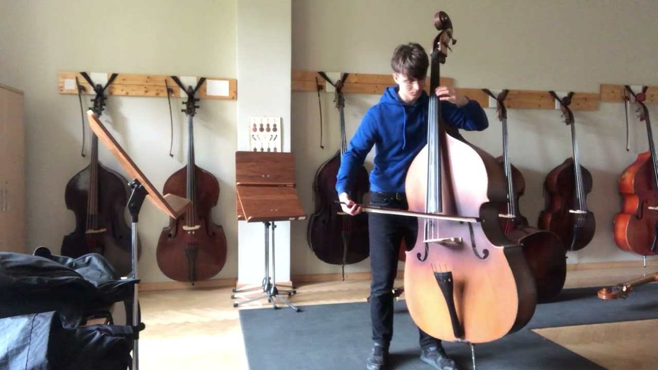 Can't help falling in love on Double Bass