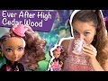 Cedar Wood Hat-Tastic Party (Сидар Вуд Чайная вечеринка) Ever After High Обзор/Review, BJH32