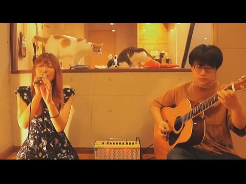 空と君のあいだに / Acostic Cover【中島みゆき】