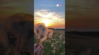 #reel#toi mor ashiqui nagpuri song.       #nagpuri#trending#ytshorts#viral#love#nature#romantic song