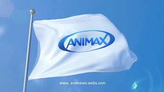 Animax ident #11