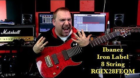 Ibanez RGIX28FEQM 8 String Iron Label