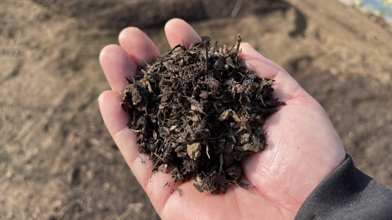 牛糞堆肥と米ぬかの畑 家庭菜園の土作り 21 2 7 Youtube 牛糞堆肥と米ぬかの畑 家庭菜園の土作り 21 2 7 Youtube