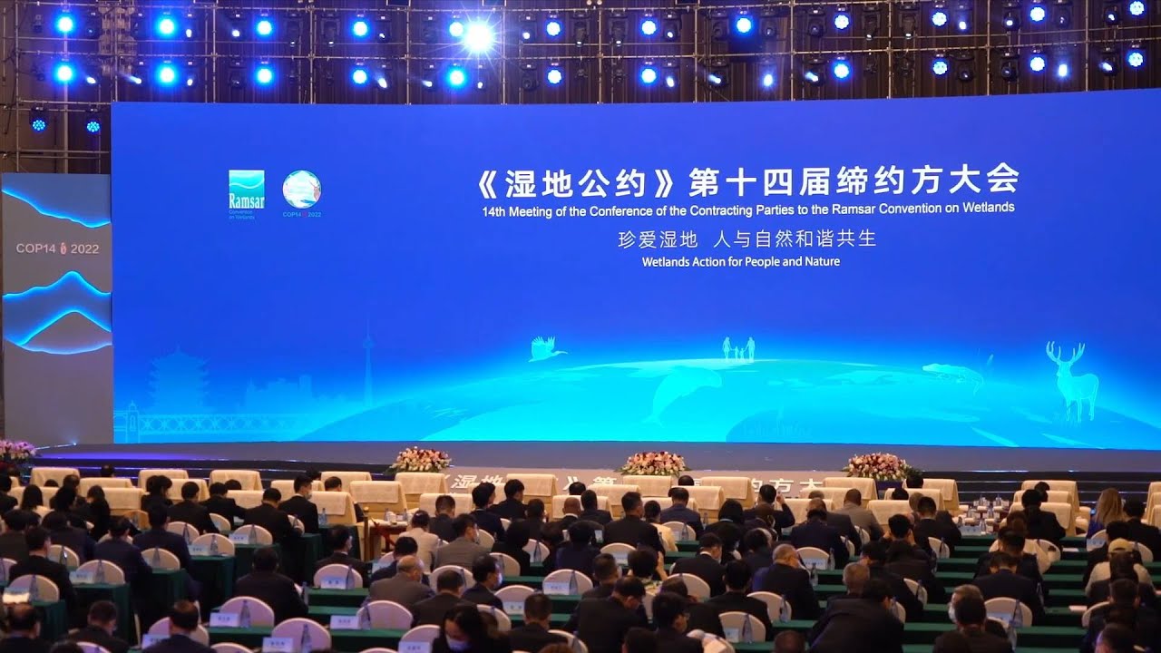 GLOBALink | COP14 on wetlands conservation opens Saturday - YouTube