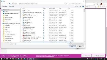 File Upload Canvas Assignment Type
