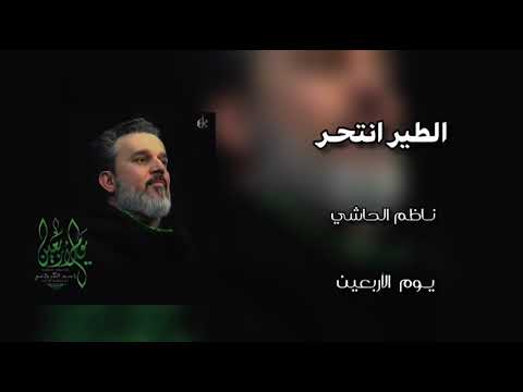 الطير انتحر والماي اعتذر الرادود باسم الكربلائي 