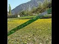 A short photo gallery of janat nazeer valley nagar gilgitbaltistan  pakistan