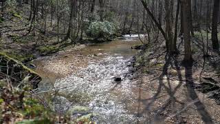 Sony 16-35GM 4K30 Stream