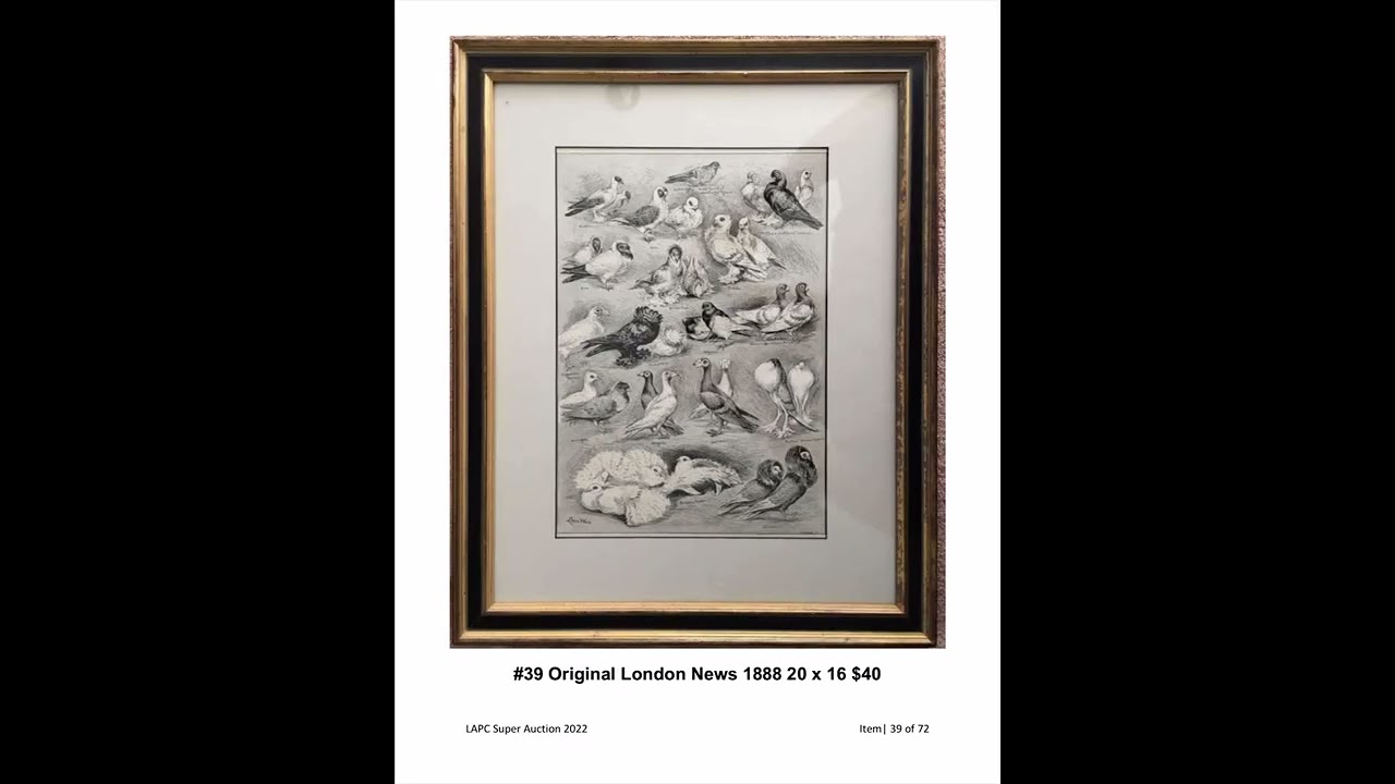 Los Angeles Pigeon Club SUPER AUCTION AND SUPER RAFFLE