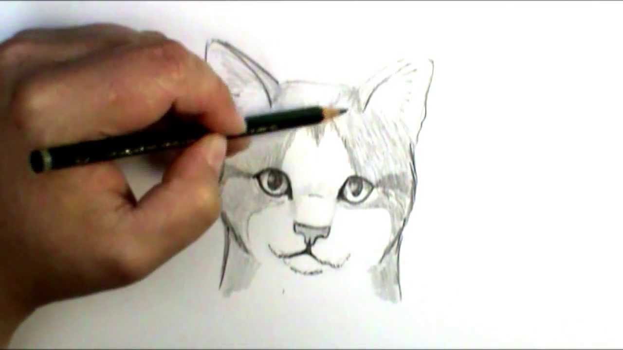 cat face side view drawing