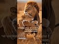 "जो प्यार बिना शर्त के हो, वही सच्चा होता है !!!#subscribe#dilkibaat#kesharkalp #likes#animeshorts
