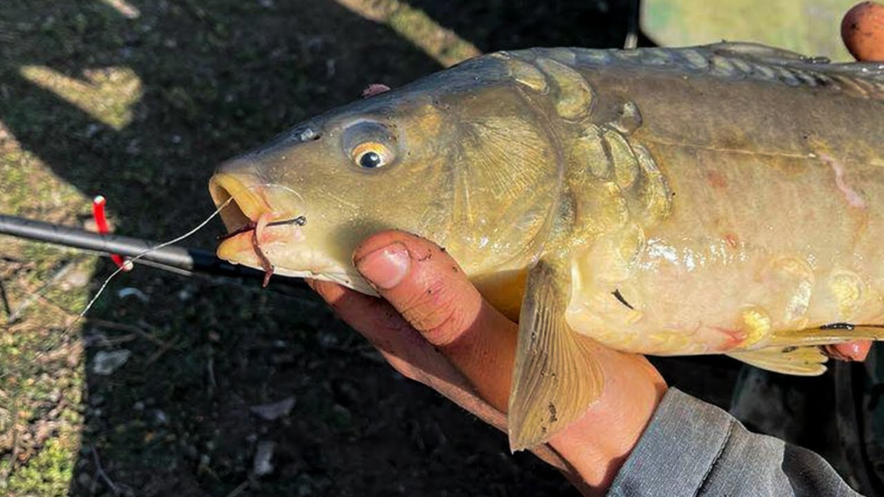 თევზაობა კუსჩუს ტბაზე