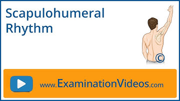 Scapulohumeral Rhythm