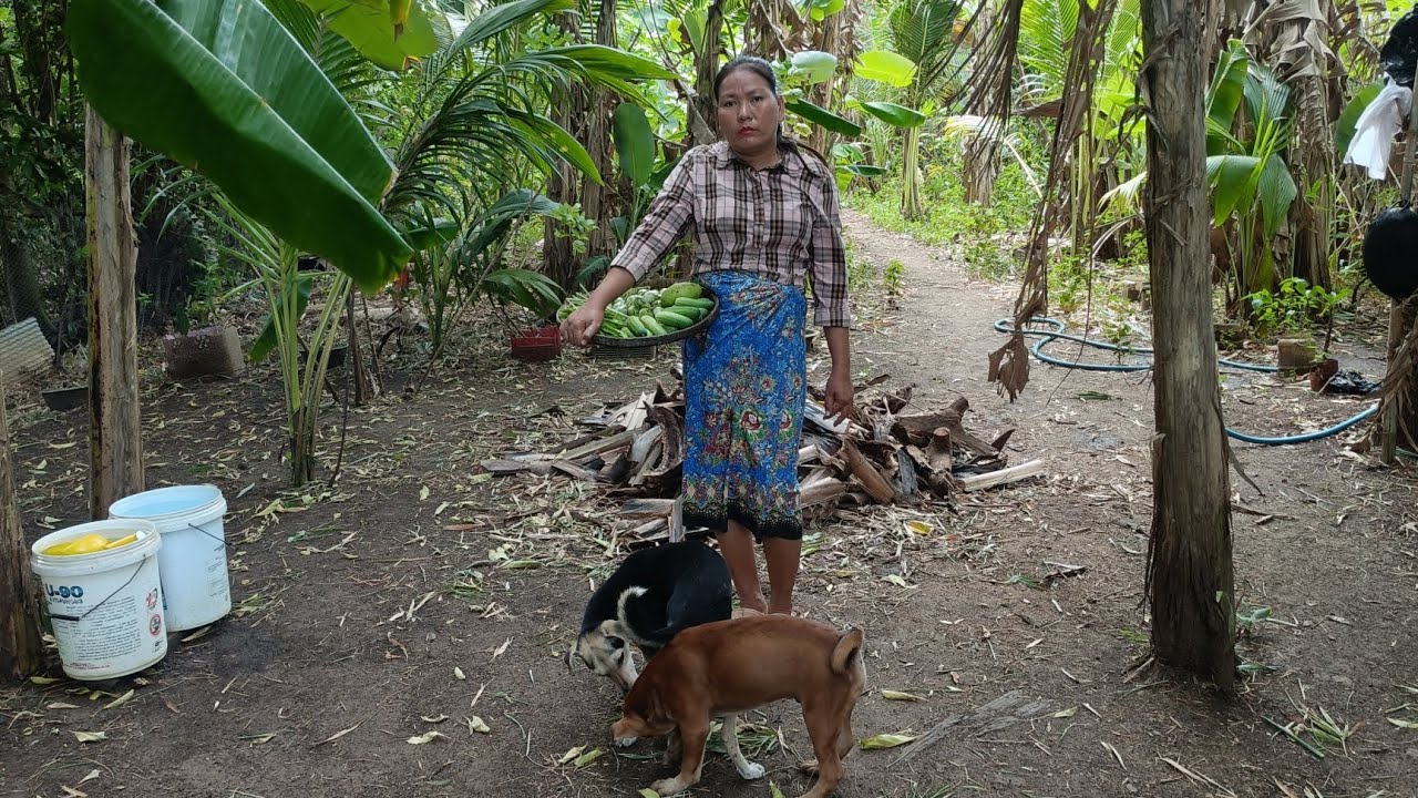 Prahok fish with egg with fresh vegetables and boiled srew snail with mango sauce!!