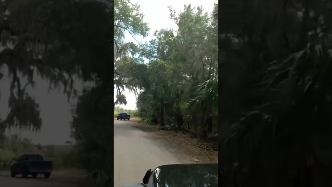 Scenic Jeep Ride Flagler Beach Florida 2