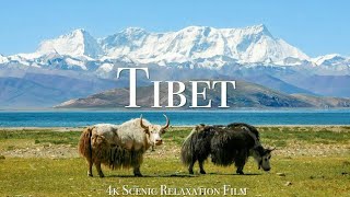 Tibet 4K - Scenic Relaxation Film With Calming Music.shahza voice