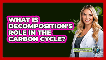 What Is Decomposition