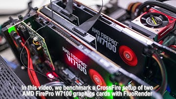 Benchmark AMD FirePro W7100 CrossFire with FluoRender