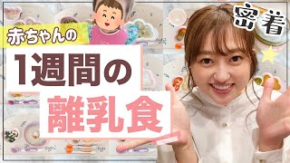 【赤ちゃんの1週間の食事】離乳食初期の食生活に密着｜What I eat in a week