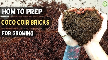Preparing Coco Coir Bricks for Microgreens & Gardening: Quick Guide