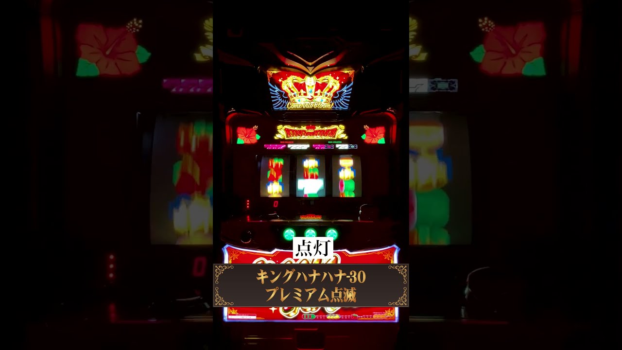 【売りたいので大幅値下げです】ハナハナ鳳凰 プレミアムパネル hnhnhouou-01.jpg