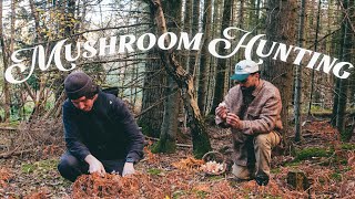Hunting & Cooking In The Woods; Winter Survival Food 🍄