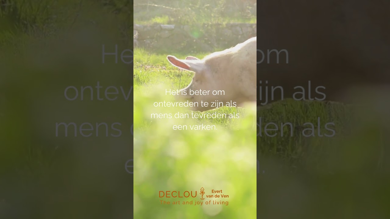 De clou van bewustzijnstraining met Evert van de Ven is: dat je weer zin in je leven ervaart!