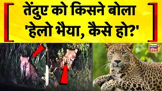 Up News बजनर म गलदर स बतचत क Viral Video Bijnor News Guldar Hindi News