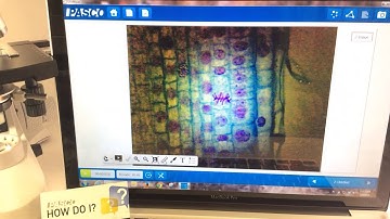 Measure an Image Feature (SPARKvue)