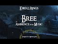 Lord of the rings  bree  rain  thunder with music  3 hours
