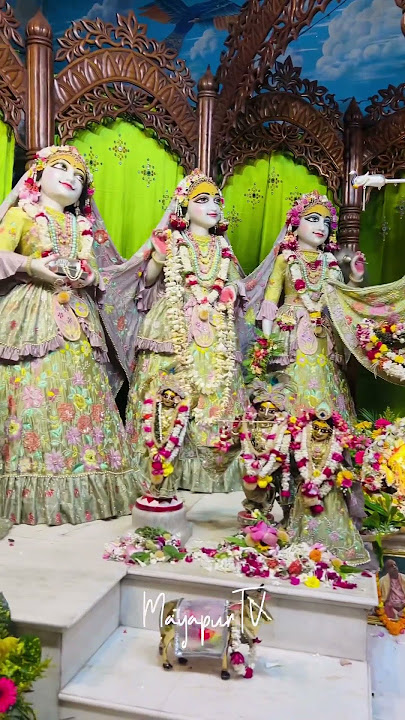 Today’s Darshan of Sri Sri Radhamadhava