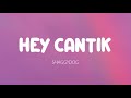 Shaggydog - Hey Cantik (Lirik)