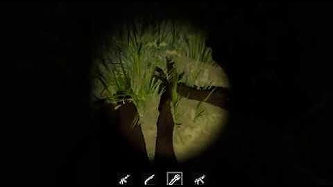 At The Island Of Madness Unity 5 Alpha