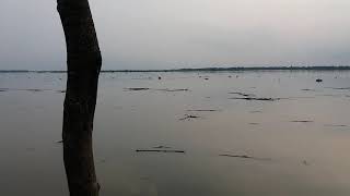 Mahananda Flood