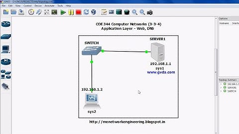Lab 2 and 3 Application Layer Web,DNS Services
