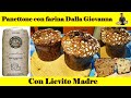 Panettone al Cioccolato con lievitomadre - planetaria e forno di casa