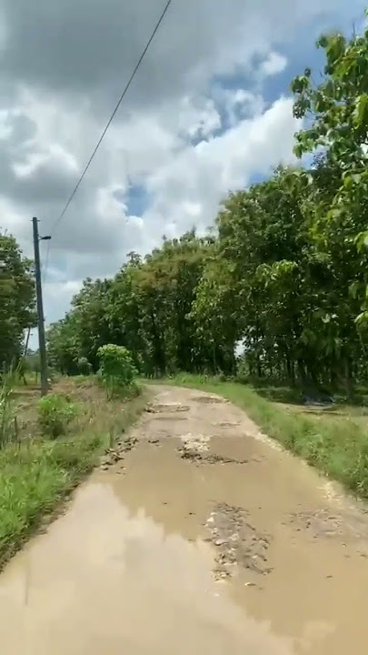 melewati jalur ekstrim sehabis hujan!!! di tengah perkebunan jagung dan hutan  jati