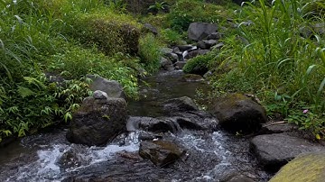 The River That Dreams — Soothing Sounds for Deep, Endless Sleep