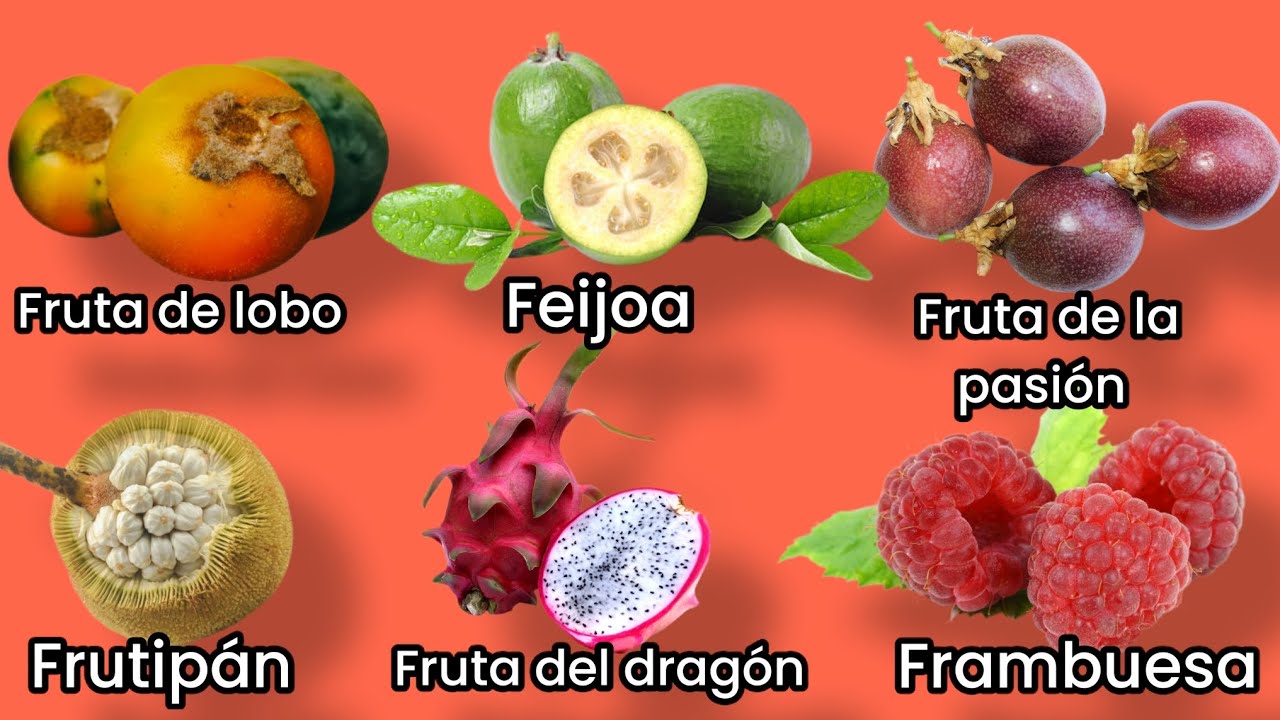 NOMBRES DE FRUTAS QUE EMPIEZAN CON LA LETRA F 🍏🍎🍓 - YouTube