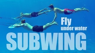 Subwing Underwater Mania