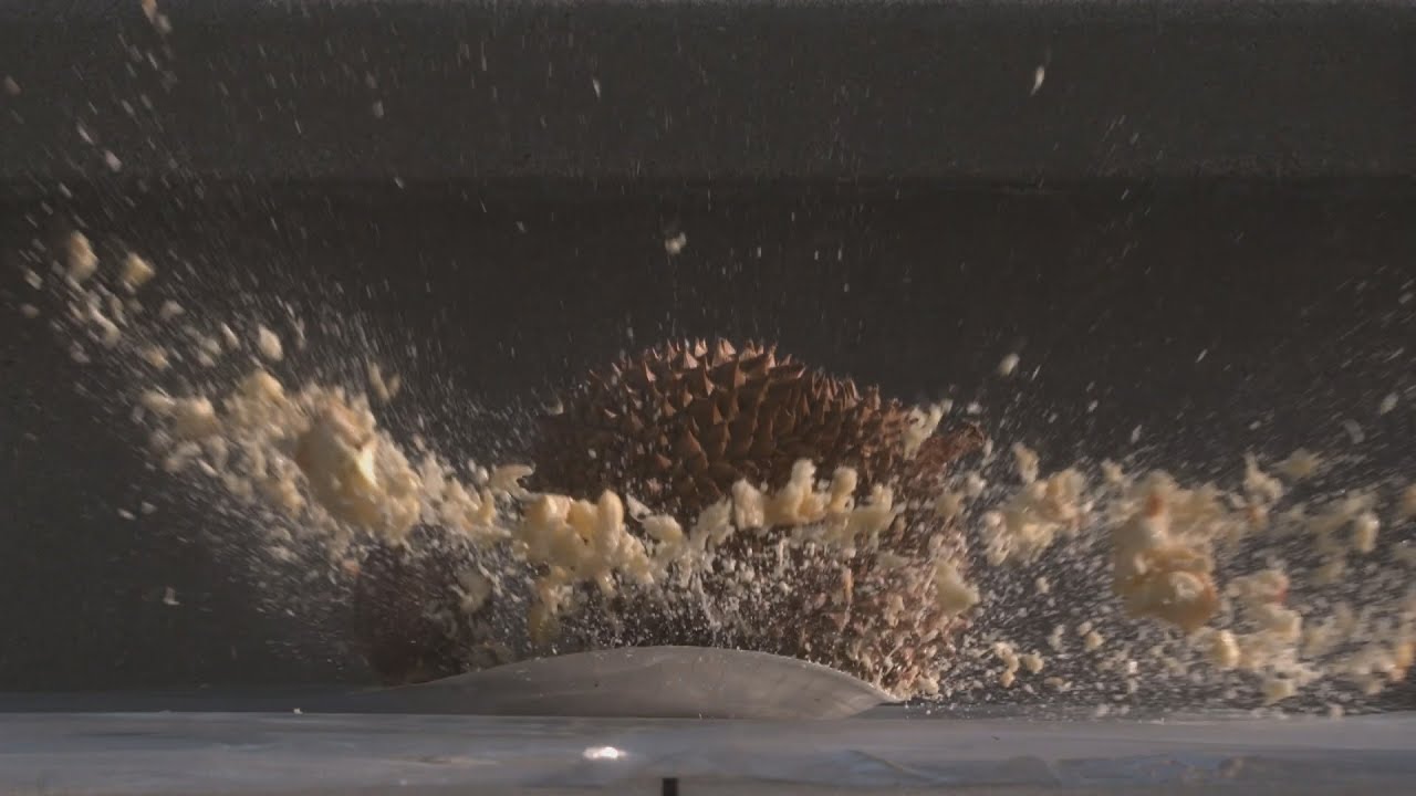Slow Motion Smashing With Durian - Wreckless Eating
