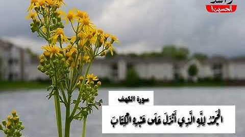 حالات واتس اب سورة الكهف فارس عباد دينية